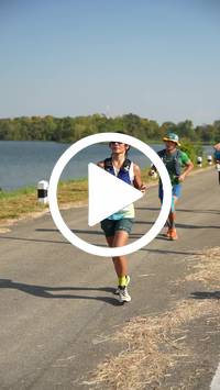 BIB:  <button type="button" onclick="openModal(27687348)" class="btn btn-primary btn-sm float-right" data-toggle="modal" data-target=".modal-high-quality">
                <i class="fa fa-download"></i> Download
                </button>